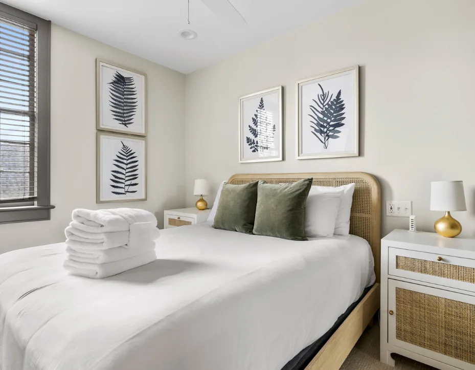 Highlighting Charleston historic architecture